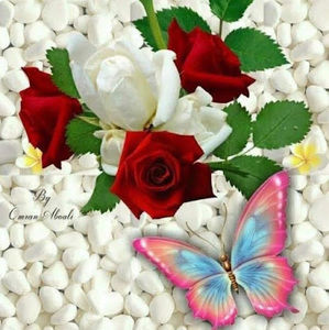 Meet your Posher, Kathy